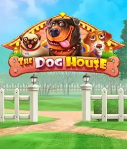 Pragmatic Play's The Dog House Slot, featuring an adorable adventure through playful pups. Discover gameplay elements such as free spins, aimed at delivering joyful moments. Ideal for animal enthusiasts a lighthearted theme and the opportunity to win big.