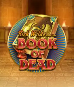 Embark on the thrilling world of Book of Dead by Play'n GO, presenting vivid graphics of Rich Wilde’s adventurous journey through ancient Egyptian tombs and artifacts. Find lost riches with engaging mechanics like free spins, expanding symbols, and a gamble option. Ideal for adventure seekers with a desire for thrilling discoveries.